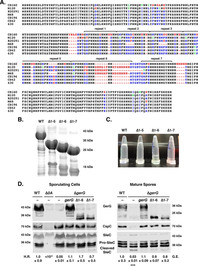 FIG 6 