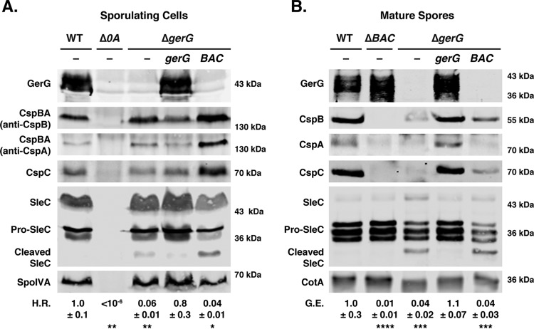 FIG 4 