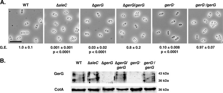 FIG 2 