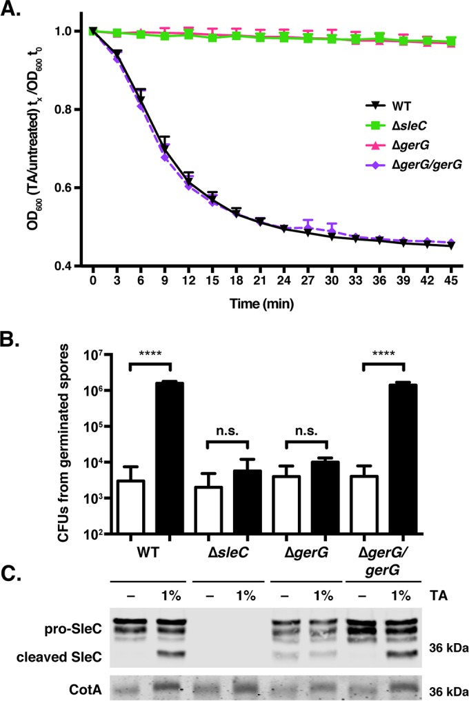 FIG 3 