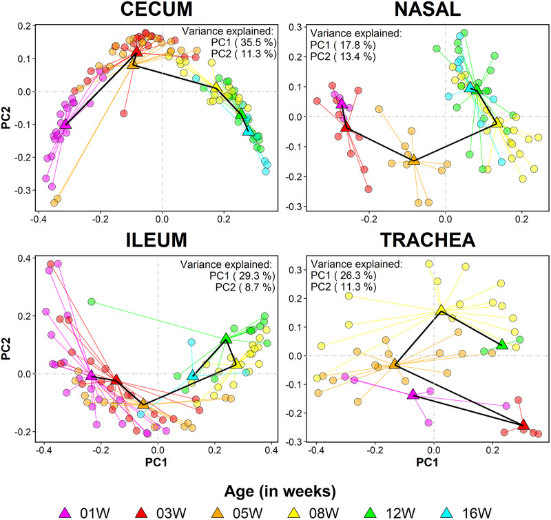 FIG 3