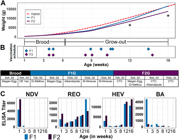 FIG 1