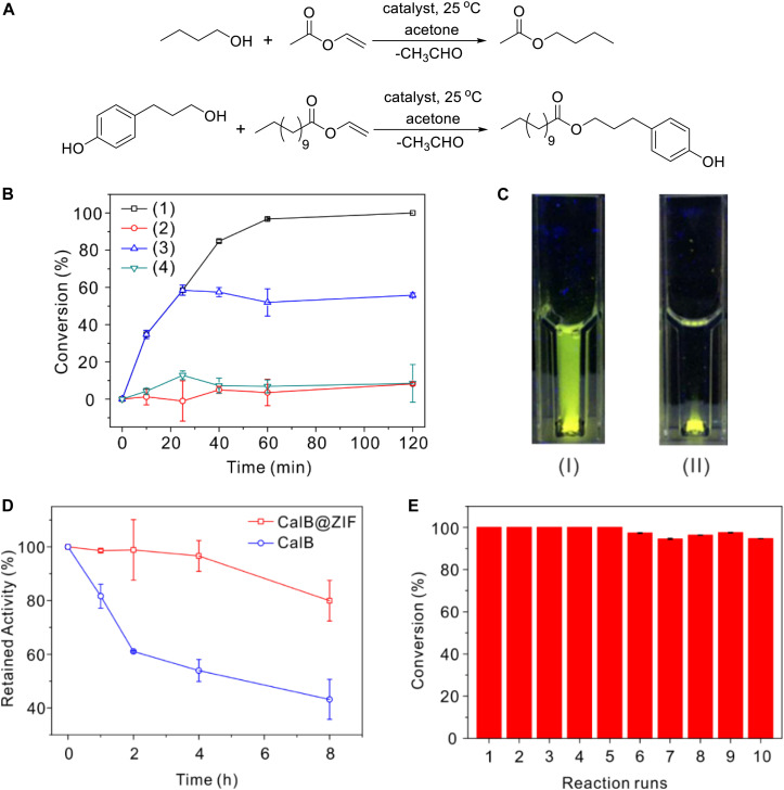 FIGURE 3