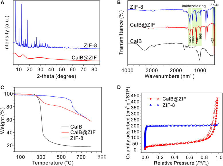 FIGURE 1