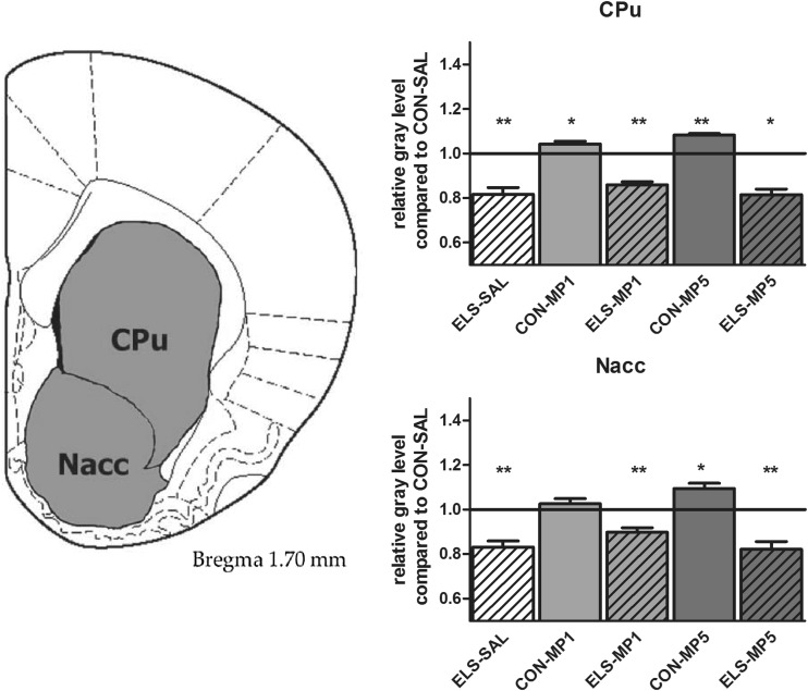 Fig. 10