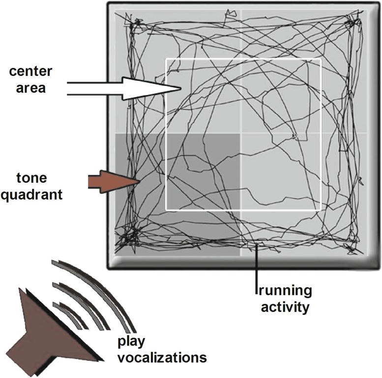 Fig. 2