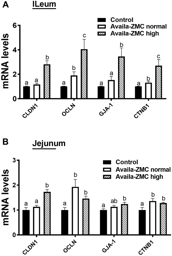 Figure 6