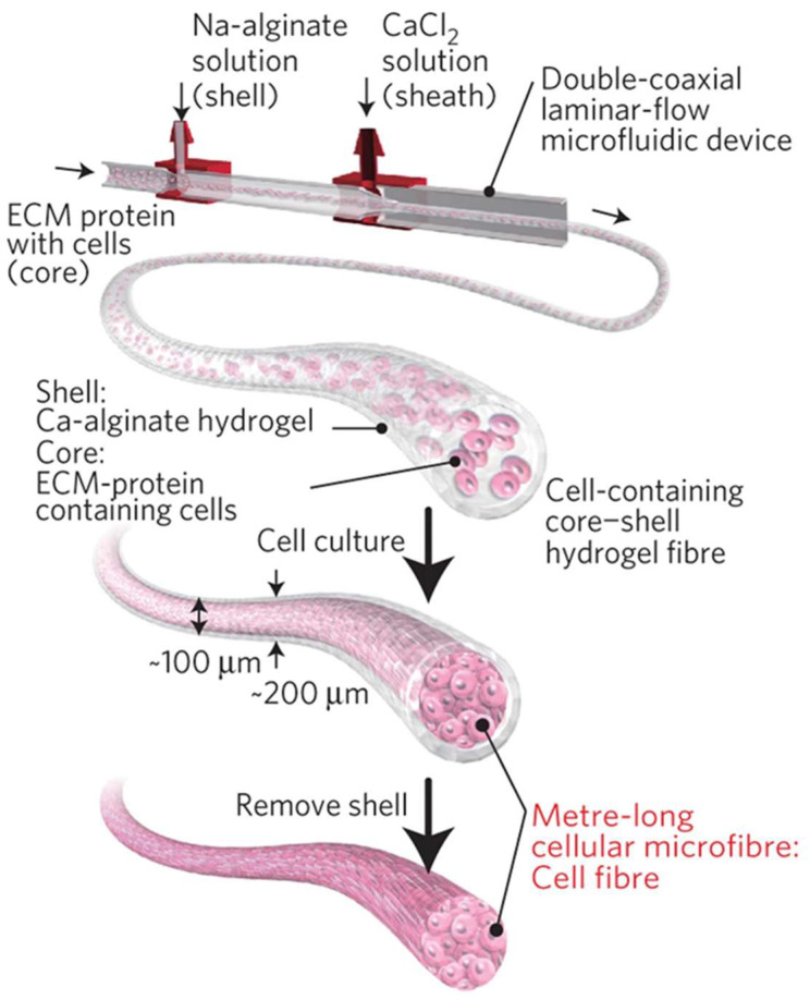 Figure 14