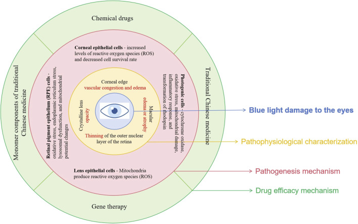 graphic file with name FPHAR_fphar-2025-1513406_wc_abs.jpg