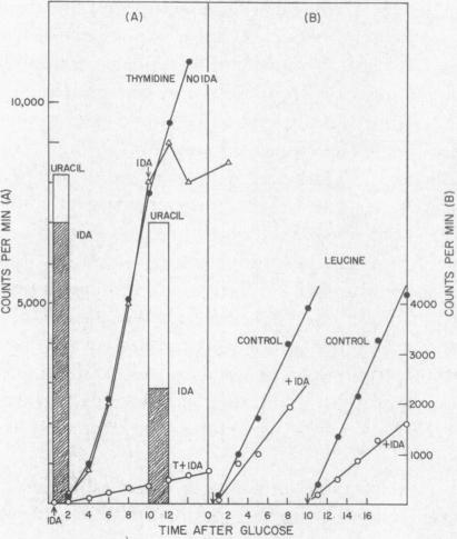 graphic file with name pnas00677-0281-a.jpg