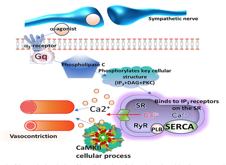 Fig. (3)