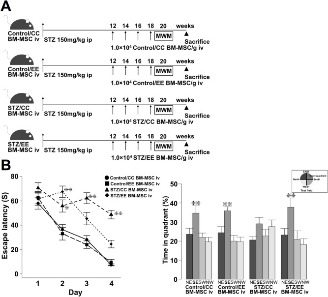 Fig 4