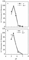 FIG. 6