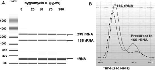 FIG. 5.