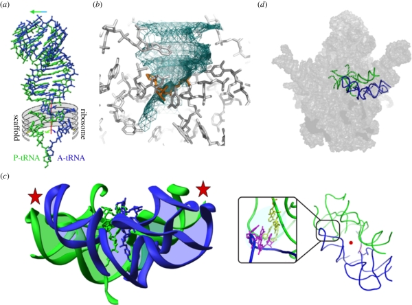 Figure 2.