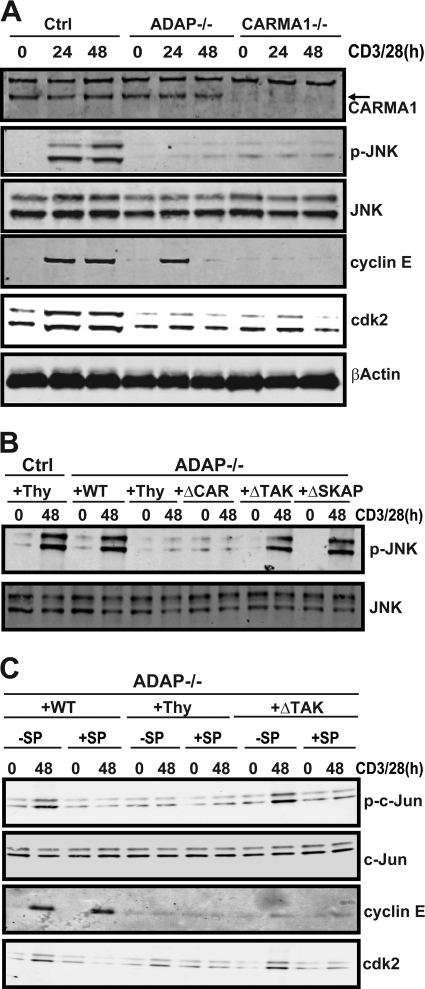 Fig 5