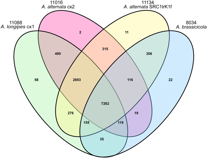 Fig 6