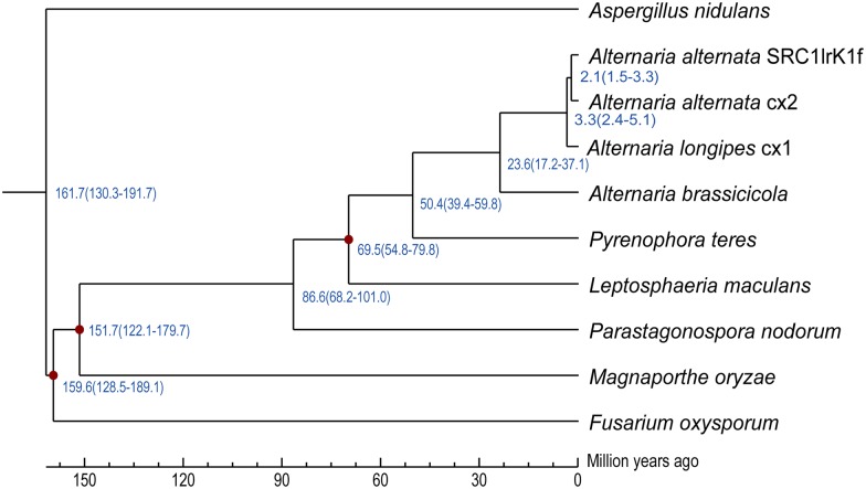 Fig 5