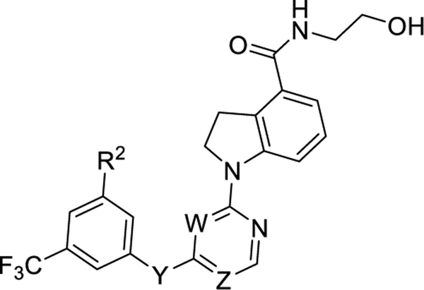 graphic file with name nihms-1736871-t0010.jpg