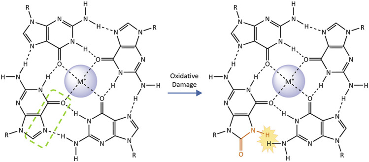 FIGURE4