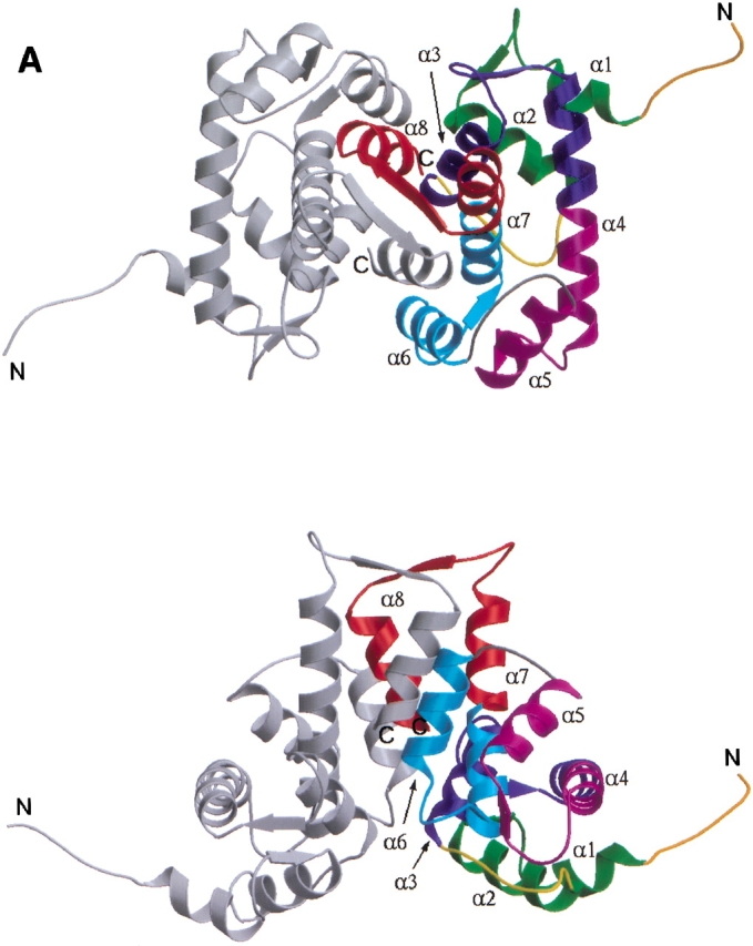 Fig. 1.