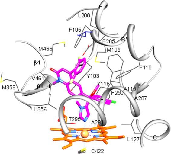 Fig 5