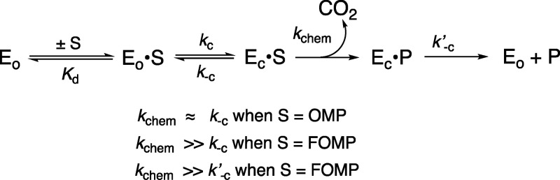 Scheme 5