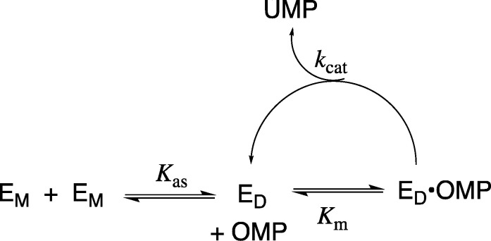 Scheme 4