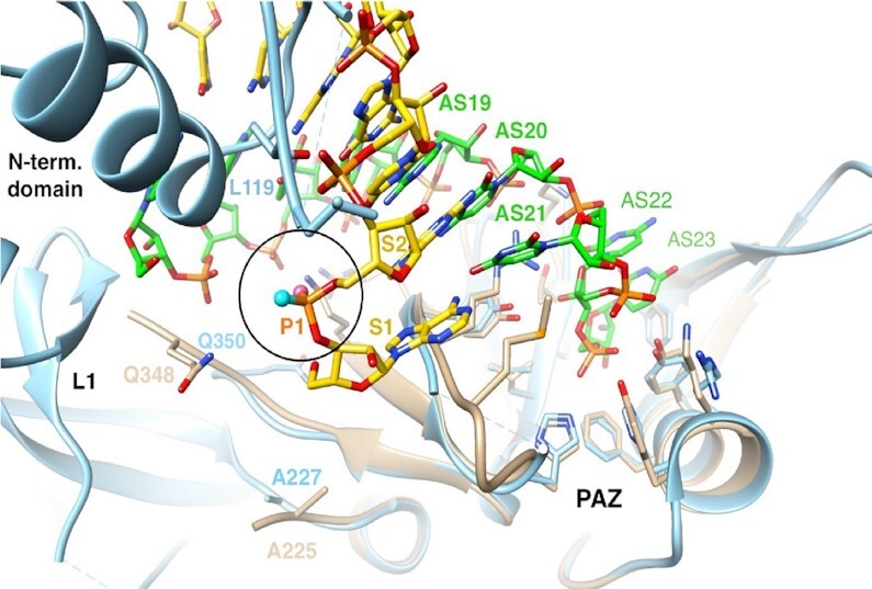 Figure 14.