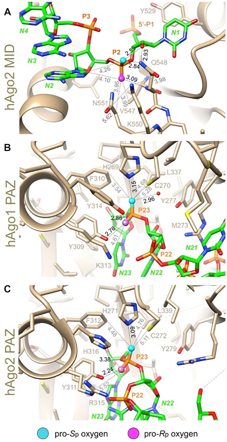 Figure 11.