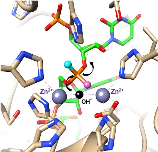 Figure 13.