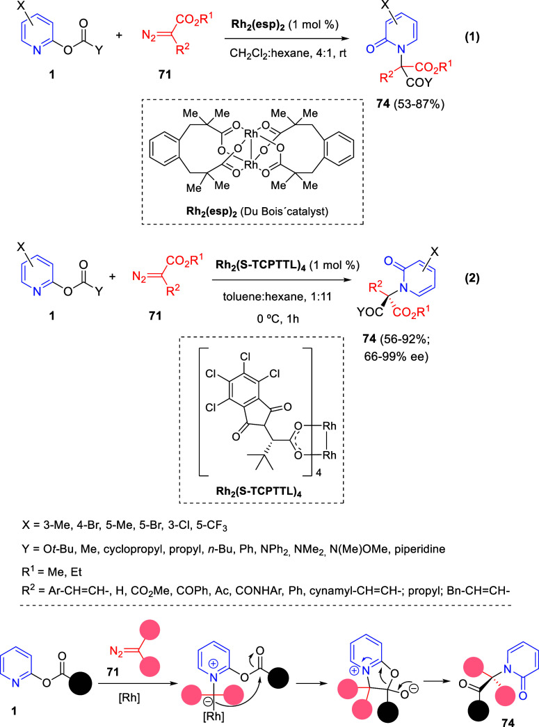 Scheme 56