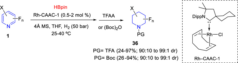 Scheme 20