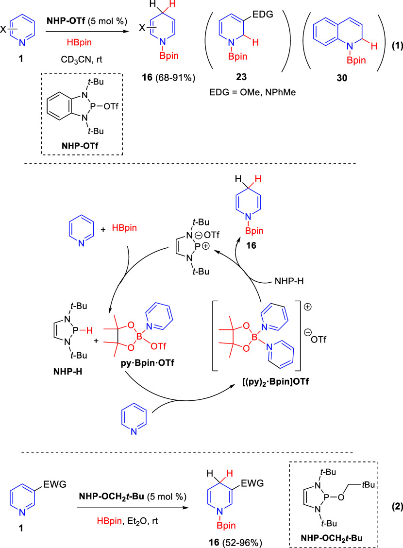 Scheme 41