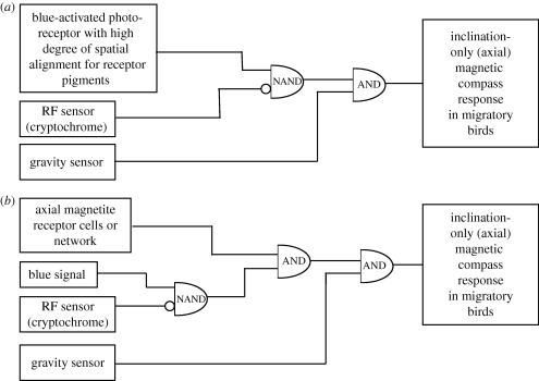 Figure 3.