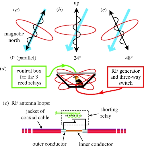 Figure 2.