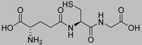 graphic file with name pharmaceutics-17-00385-i001.jpg