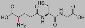 graphic file with name pharmaceutics-17-00385-i003.jpg