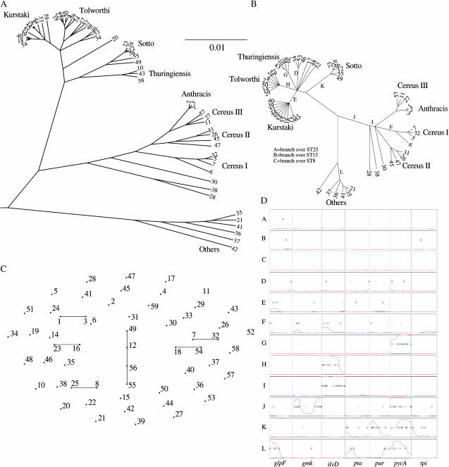 Figure 4.—