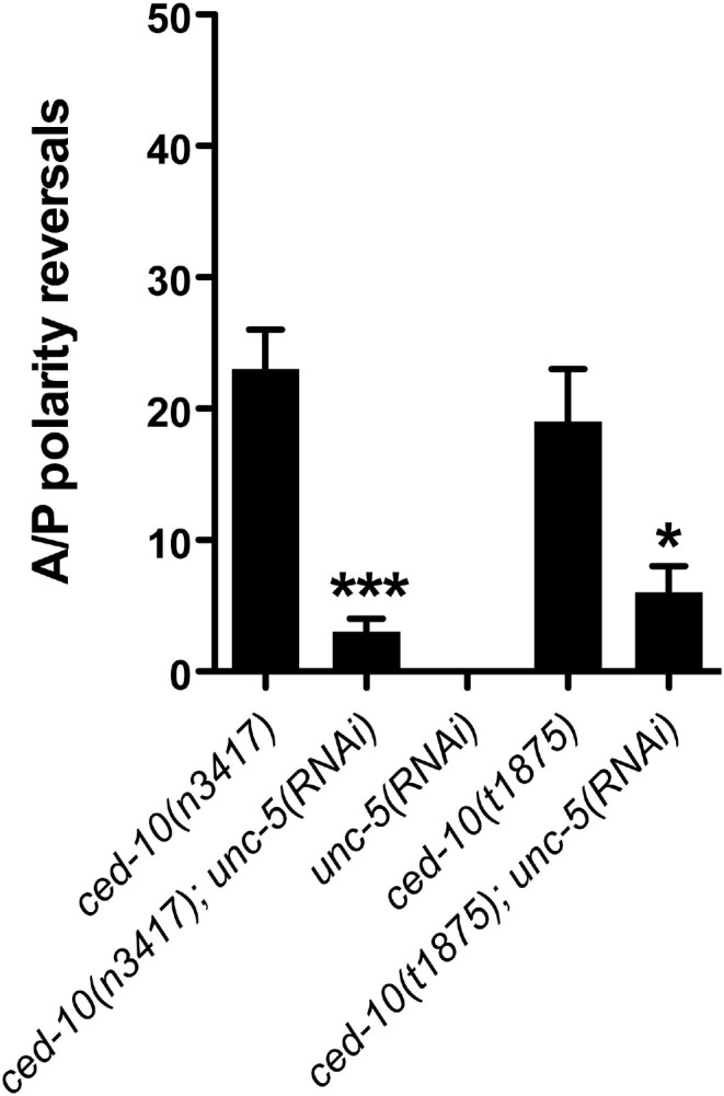 Fig 5