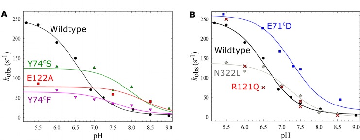 Fig 8