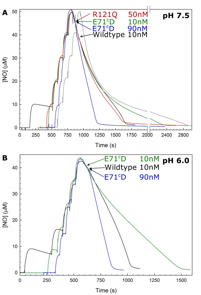 Fig 5