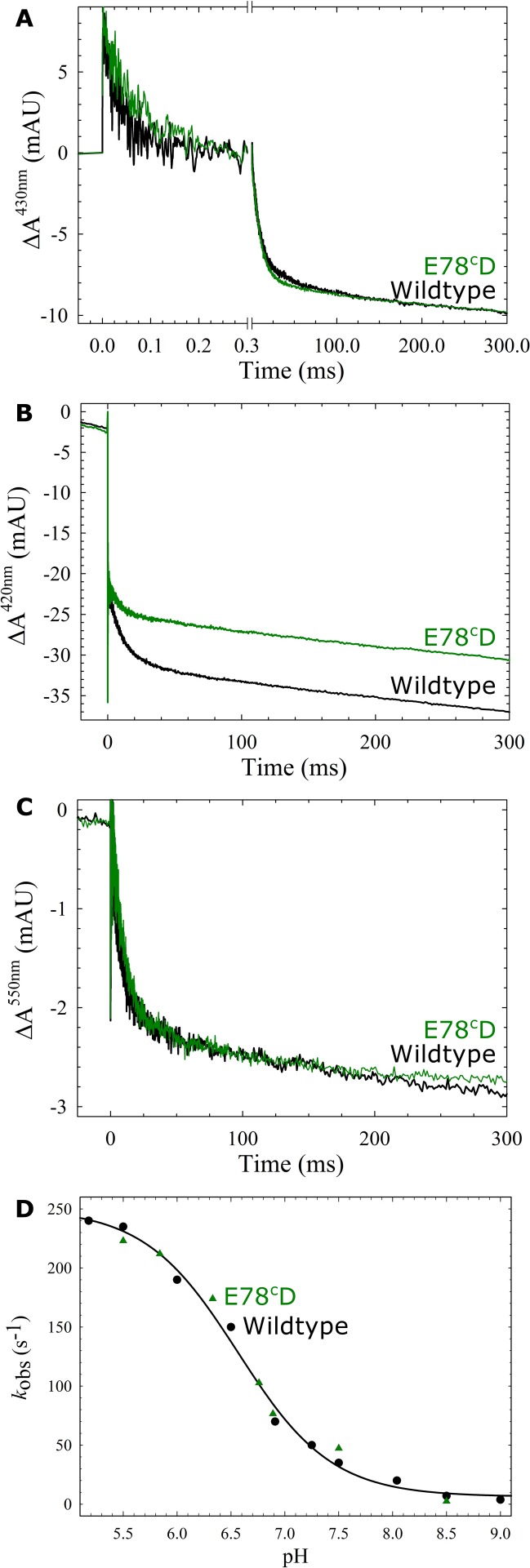 Fig 4