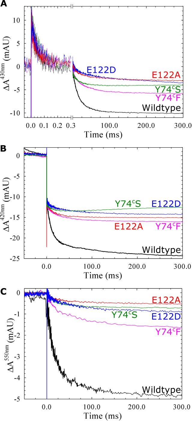 Fig 6