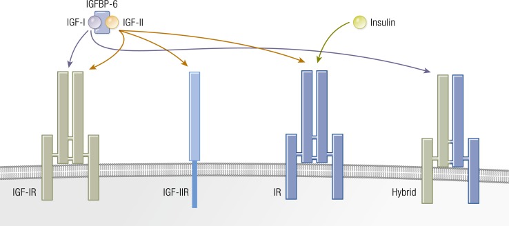 Figure 6.