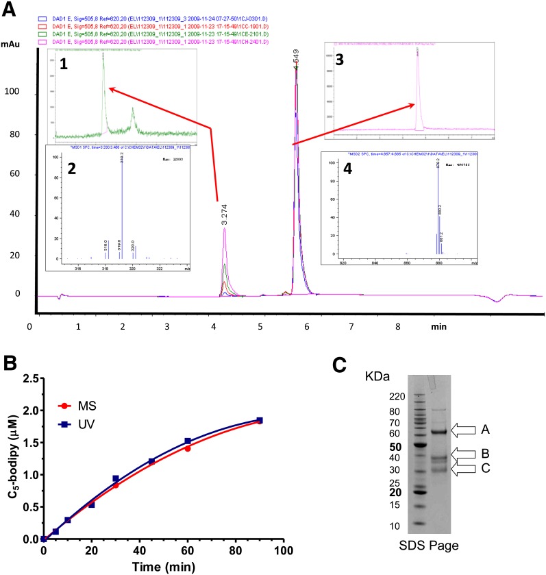 Fig. 3.