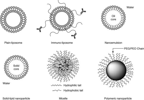 Figure 2-1