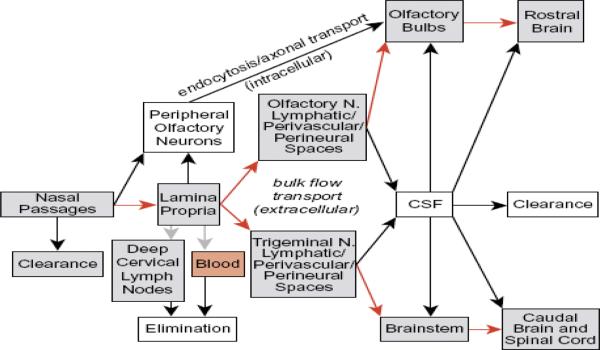 Figure 4-1