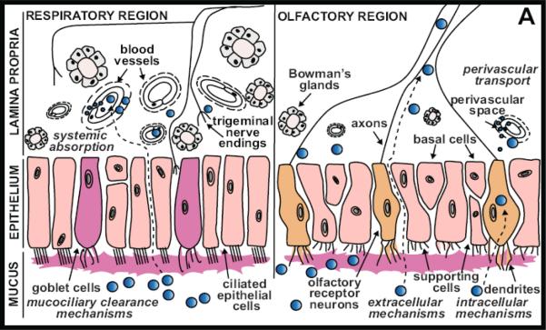 Figure 3-1