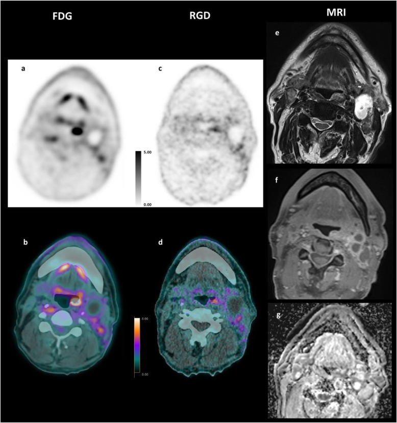 Fig. 5